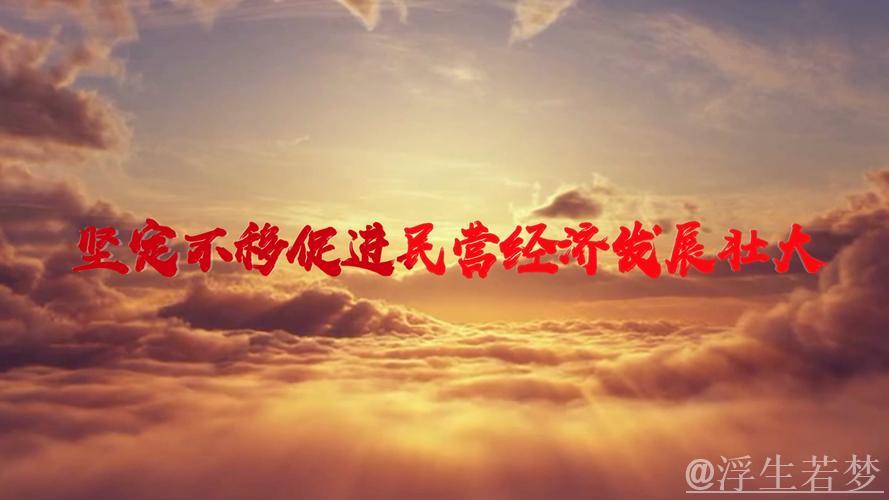 坚定发展信心 推动民营经济高质量成长 坚定发展信心 推动民营经济高质量成长